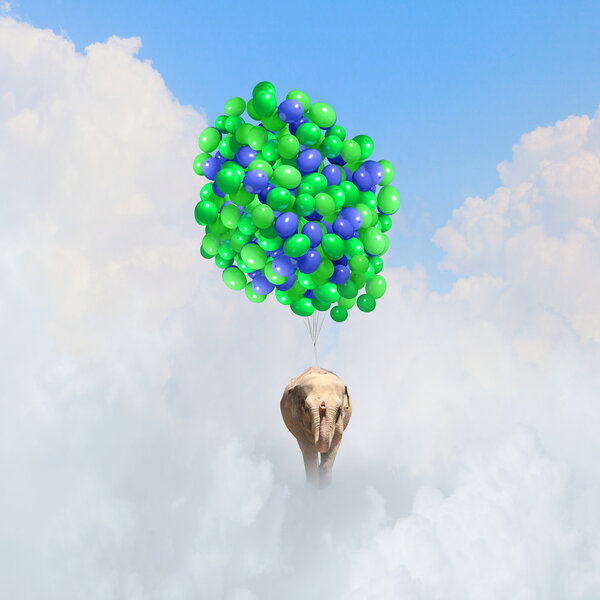 Летающий слон
