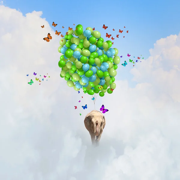 Flying elephant — Stock Photo, Image