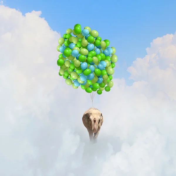 Létající slon — Stock fotografie