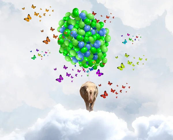 Flying elephant — Stock Photo, Image