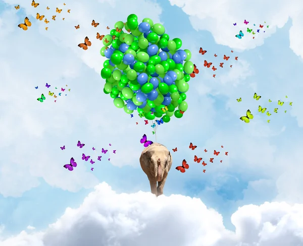 Flying elephant — Stock Photo, Image