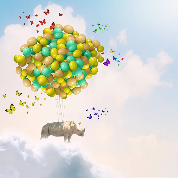 Vliegende rhino — Stockfoto