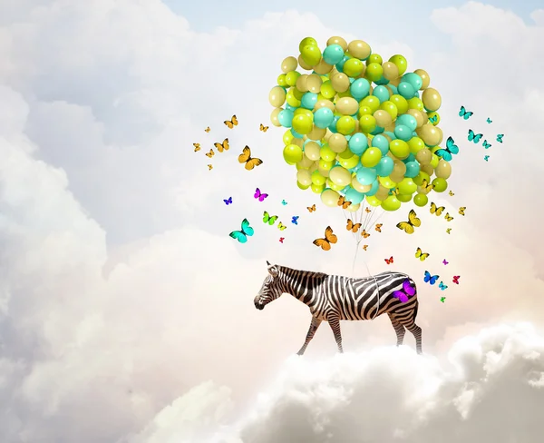 Flying zebra — Stock Photo, Image