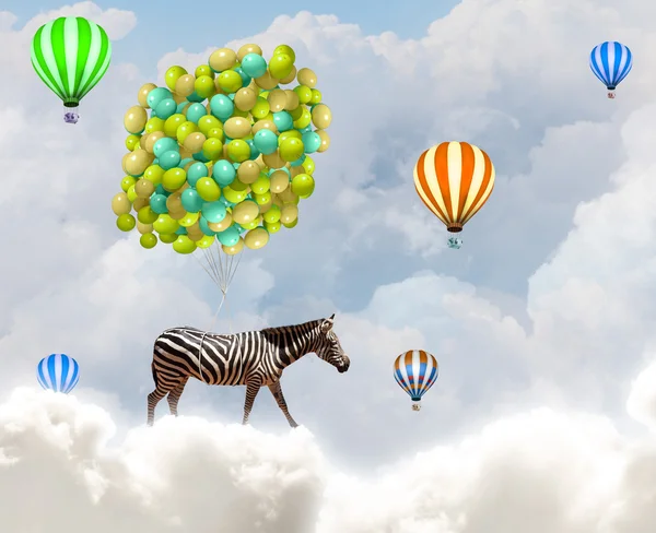 Flying zebra — Stock Photo, Image