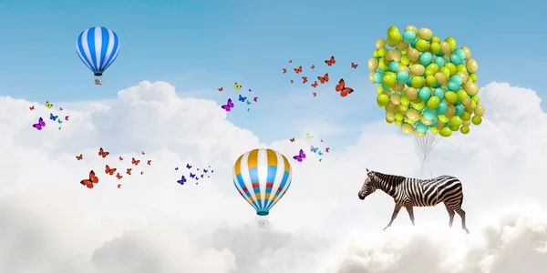 Flying zebra — Stock Photo, Image