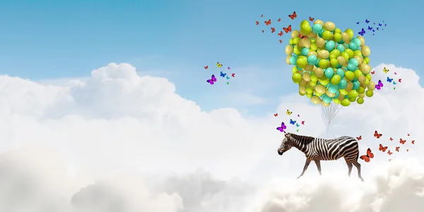 Flying zebra — Stock Photo, Image