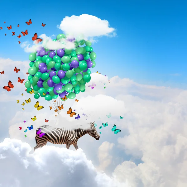 Flying zebra — Stock Photo, Image