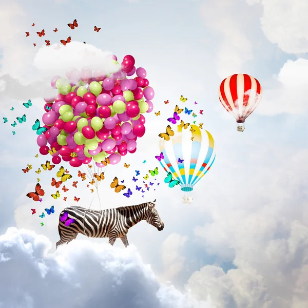 Flying zebra — Stock Photo, Image