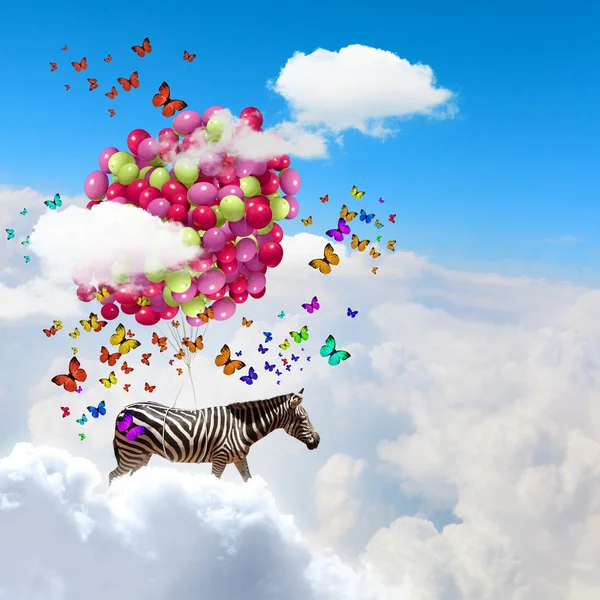 Flying zebra — Stock Photo, Image