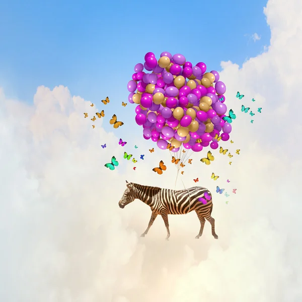 Flying zebra — Stock Photo, Image