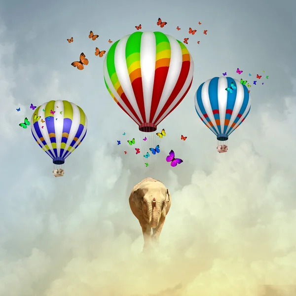 Flying elephant — Stock Photo, Image
