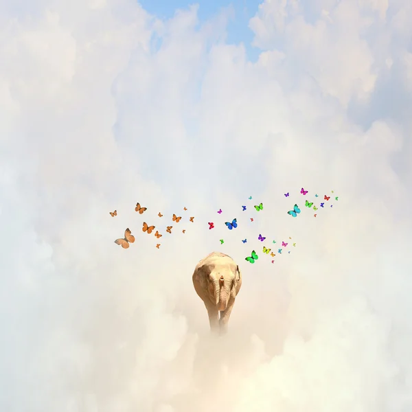 Flying elephant — Stock Photo, Image