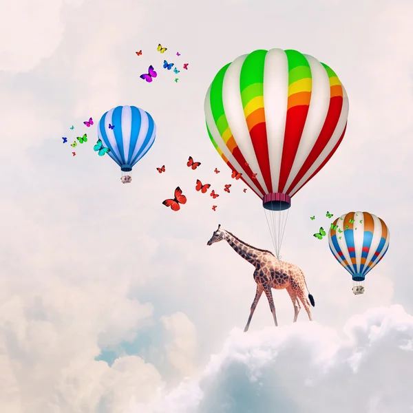 Flying giraffe — Stock Photo, Image