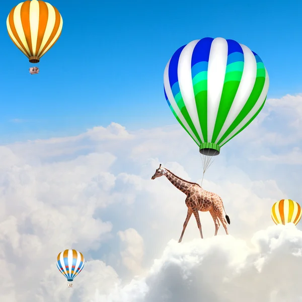 Flying giraffe — Stock Photo, Image