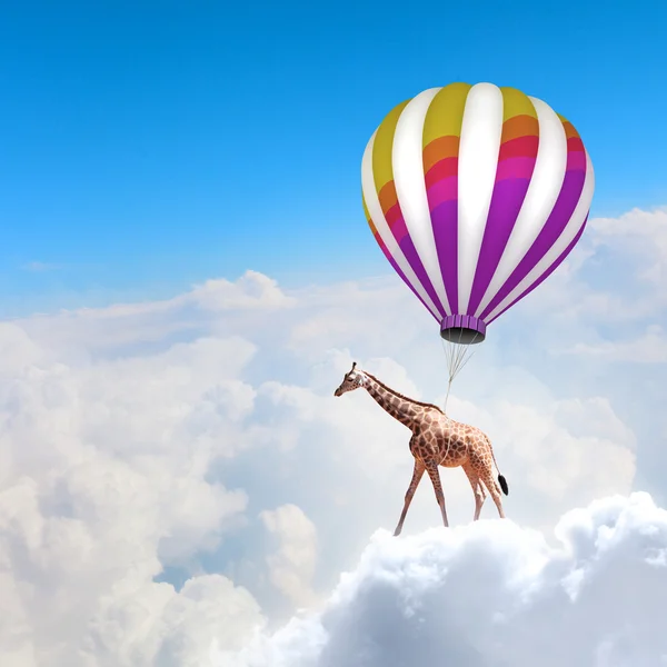 Flying giraffe — Stock Photo, Image