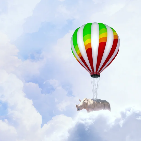 Flying rhino — Stock Photo, Image