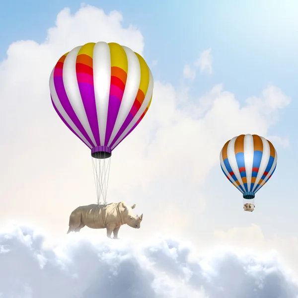 Zwariowana szkoła latającego nosorożca — Zdjęcie stockowe