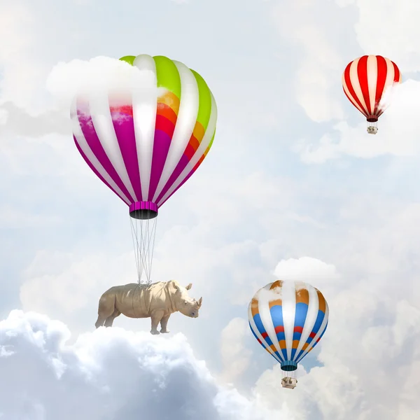 Летучий носорог — стоковое фото
