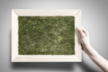 çerçeve çimen ile