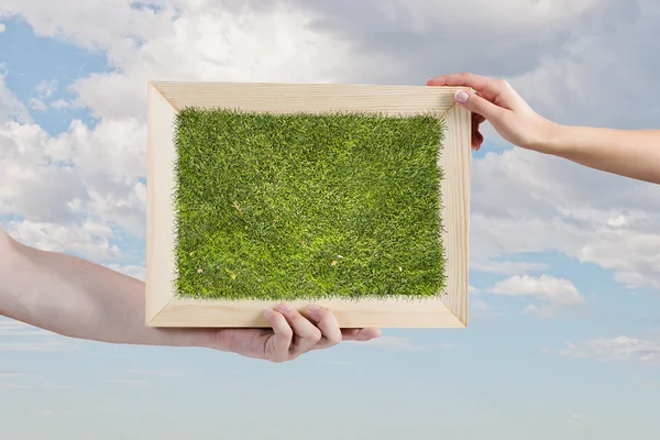 草とフレーム — ストック写真