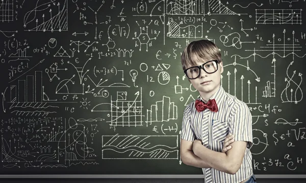 Smart schoolboy — Stock Photo, Image