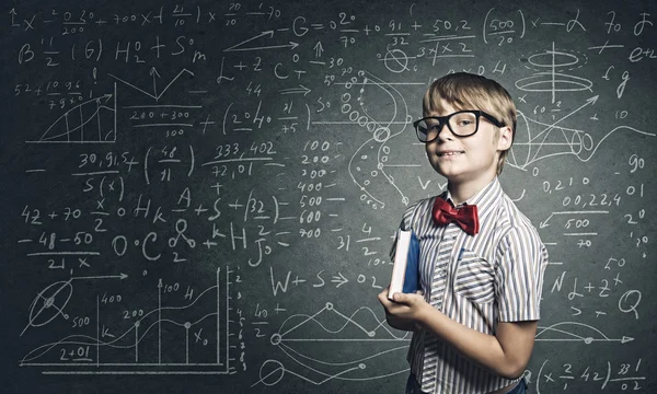 Smart schoolboy — Stock Photo, Image