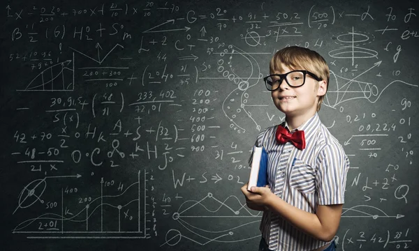 Smart schoolboy — Stock Photo, Image