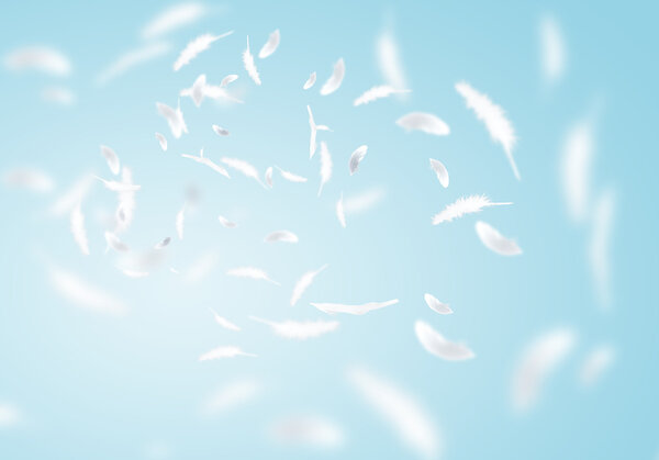 Белые перья
