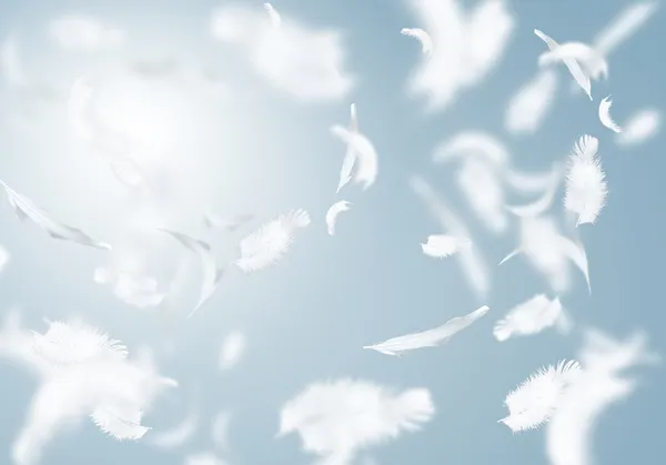 White feathers — Stock Photo, Image