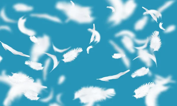 Белые перья — стоковое фото