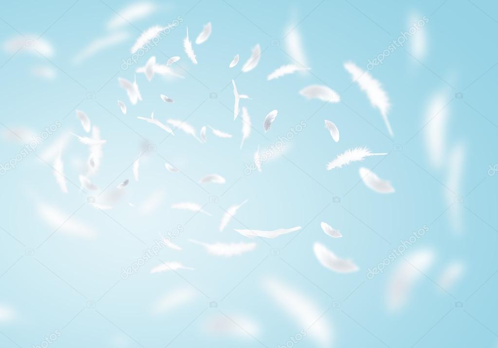 White feathers