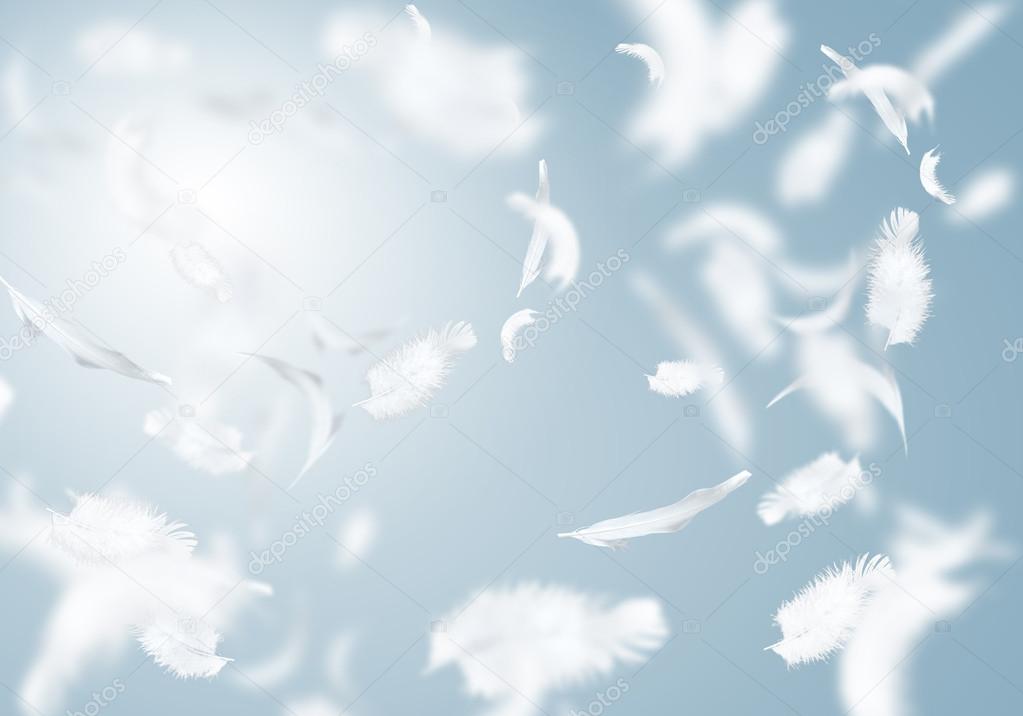 White feathers