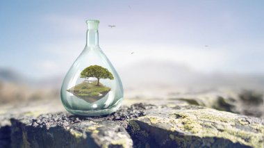 Cam şişenin içinde büyüyen ağaç. Karışık ortam