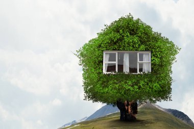 Yeşil çimlerin üzerinde Küçük Eko Evi