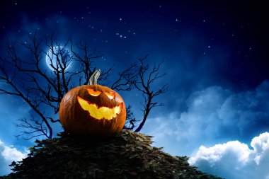 Balkabaklarıyla cadılar bayramı resmi. Karışık ortam