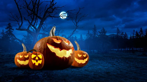 Halloween beeld met pompoenen. Gemengde media — Stockfoto