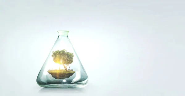 在透明玻璃瓶里生长的树.混合媒体 — 图库照片