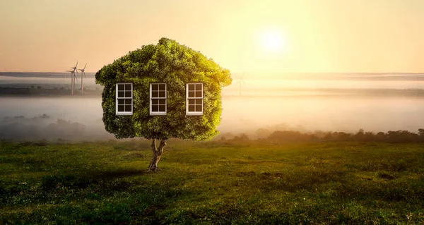 Маленький экологический домик на зеленой траве. Смешанные медиа — стоковое фото