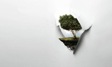 Ağaç ve manzaranın resmi