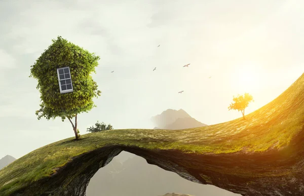 푸른 잔디 집 과 풀로 뒤덮인 풍경 — 스톡 사진