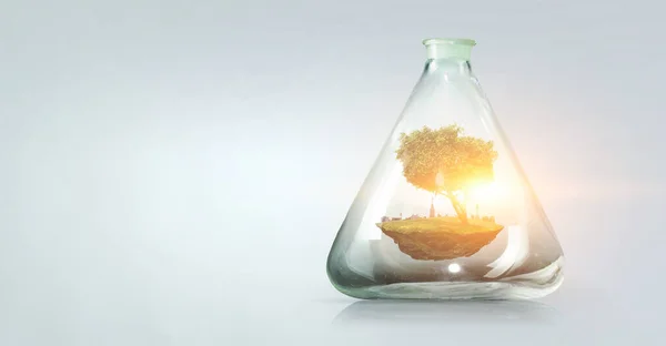 Träd som växer inuti klar glasflaska — Stockfoto