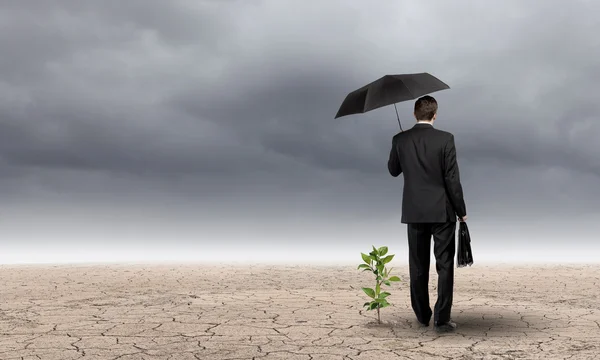 Businessman protecting little sprout with umbrella — Stock Photo, Image