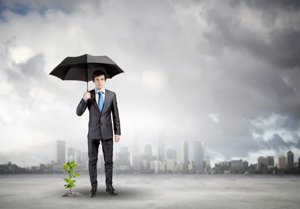 Geschäftsmann schützt Sprossen mit Regenschirm — Stockfoto