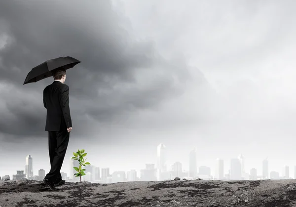 Empresário protegendo pouco broto com guarda-chuva — Fotografia de Stock