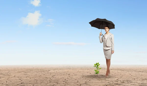 Geschäftsfrau schützt Sprossen mit Regenschirm — Stockfoto