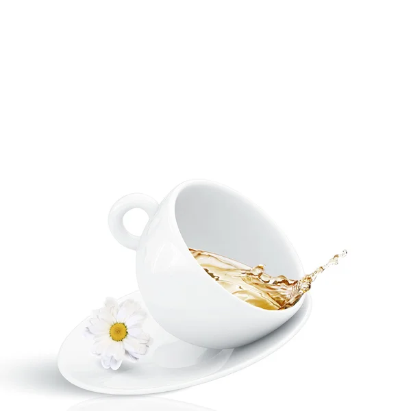 白杯甘菊茶 — 图库照片