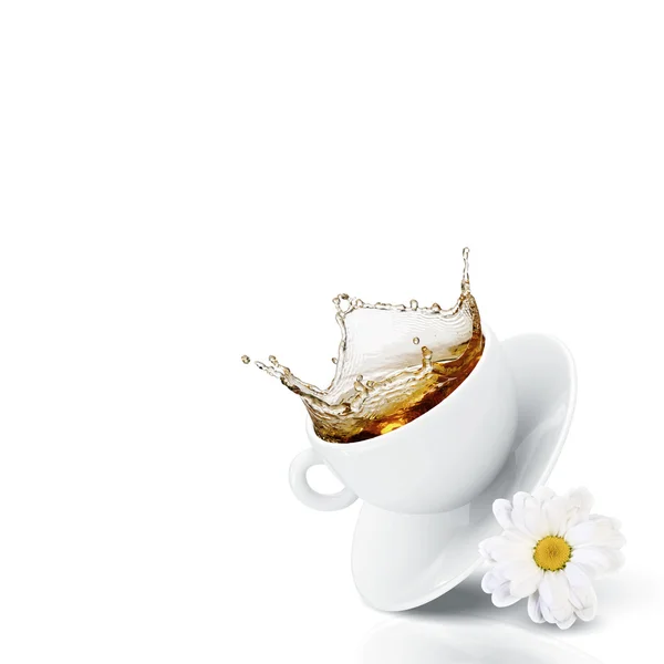 Φλιτζάνι λευκό τσάι χαμομήλι — Φωτογραφία Αρχείου