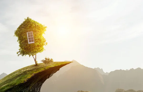 Дом с зеленой травой и ландшафт с травой — стоковое фото