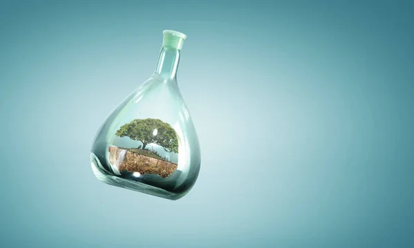 Δέντρο μεγαλώνει μέσα σε πλωτό γυάλινο μπουκάλι — Φωτογραφία Αρχείου