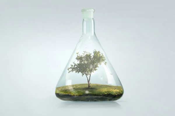Δέντρο μεγαλώνει μέσα σε διαφανές γυάλινο μπουκάλι — Φωτογραφία Αρχείου